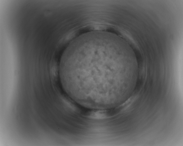 X0000115400078200911101521
