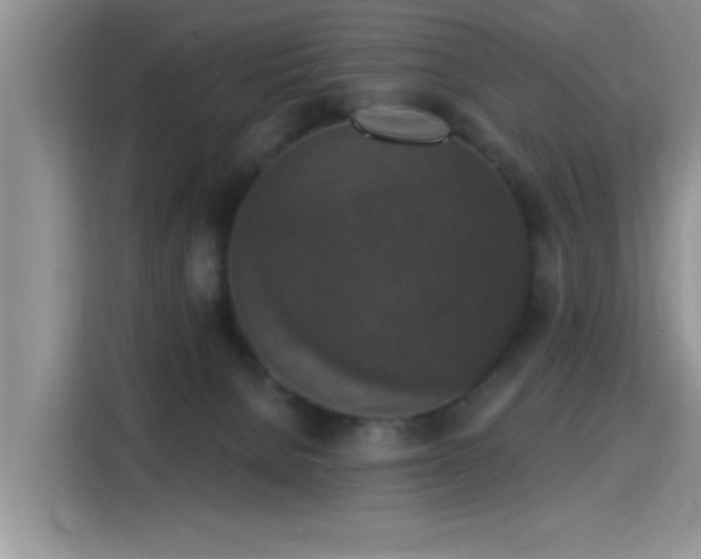 X0000115400080200911101521