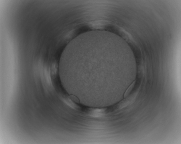 X0000115400081200911101521