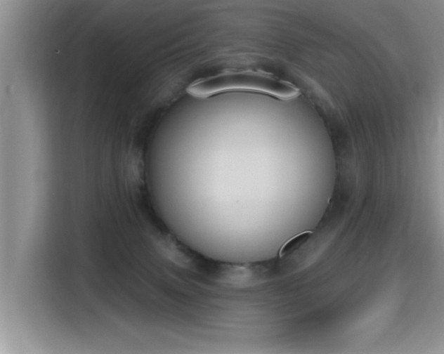 X0000115400083200911101521