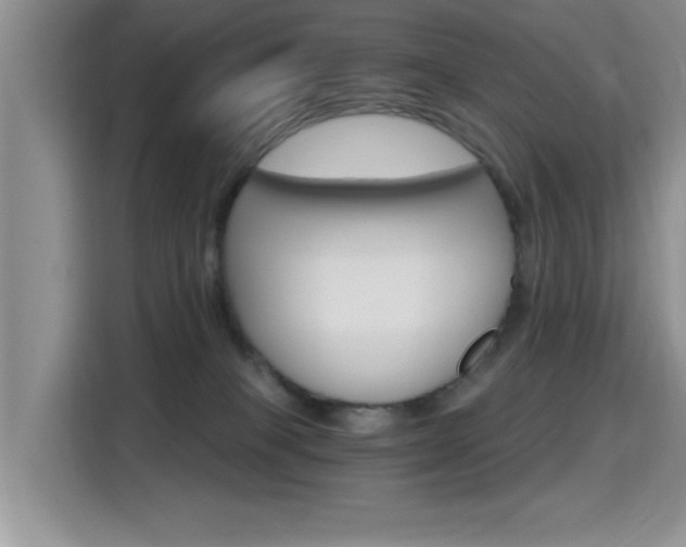 X0000115400085200911101521