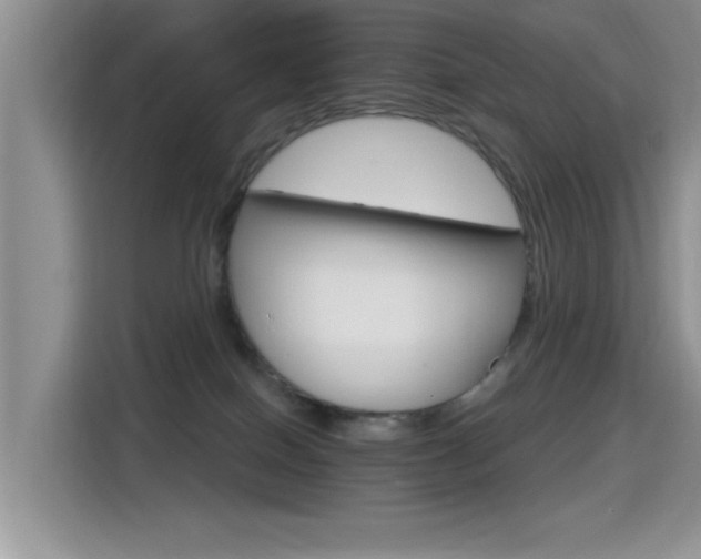 X0000115400086200911101521