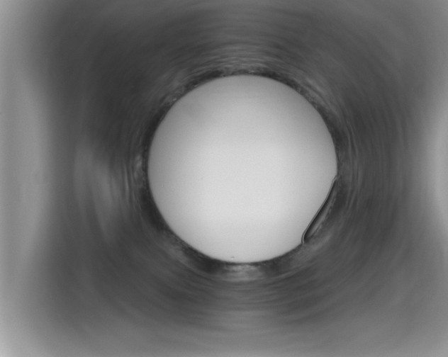 X0000115400087200911101521