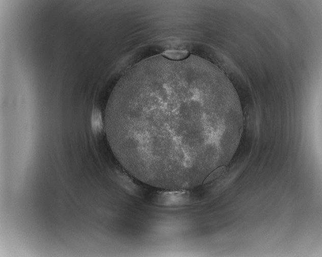 X0000115400089200911101521