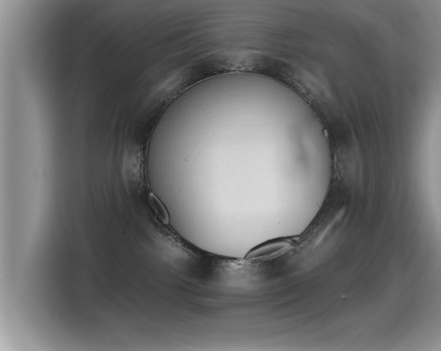 X0000115400092200911101521