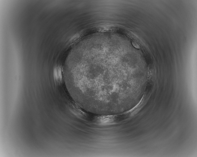 X0000115400094200911101521