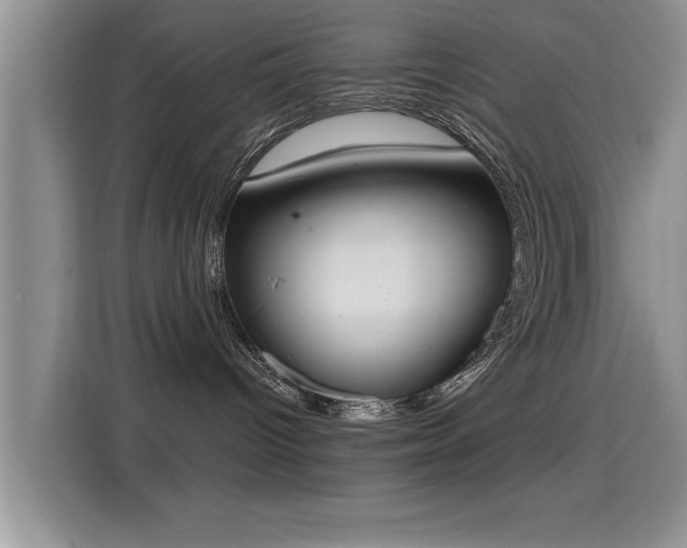 X0000115400096200911101521