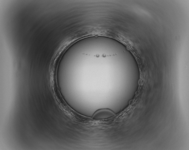 X0000115400098200911101520