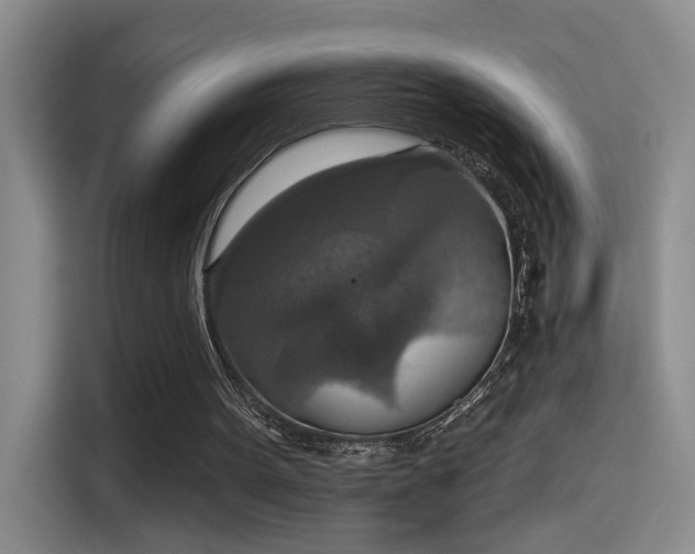 X0000115400099200911101520