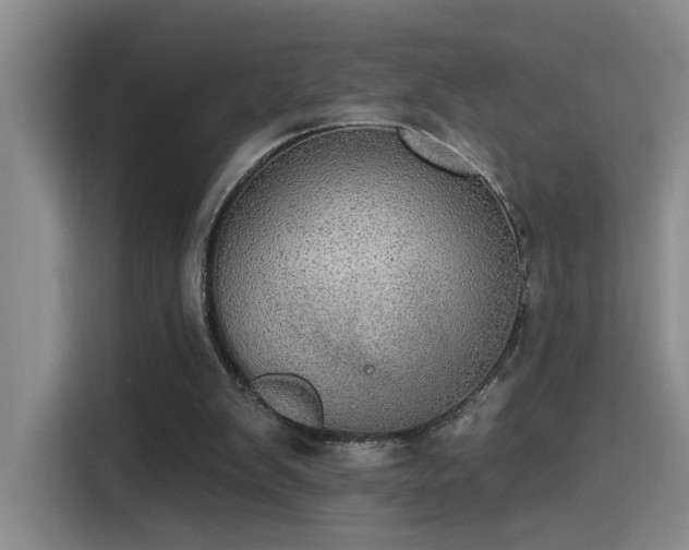 X0000115400103200911101520