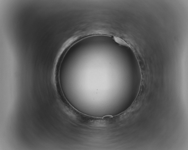 X0000115400104200911101520