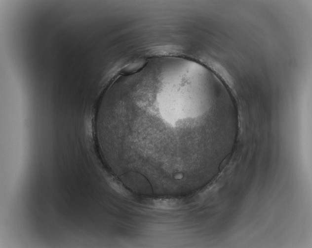 X0000115400105200911101520