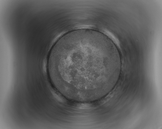 X0000115400107200911101520