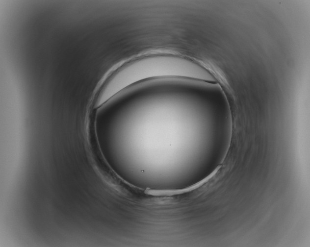 X0000115400108200911101520
