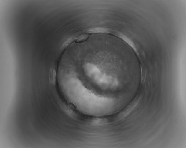 X0000115400109200911101520