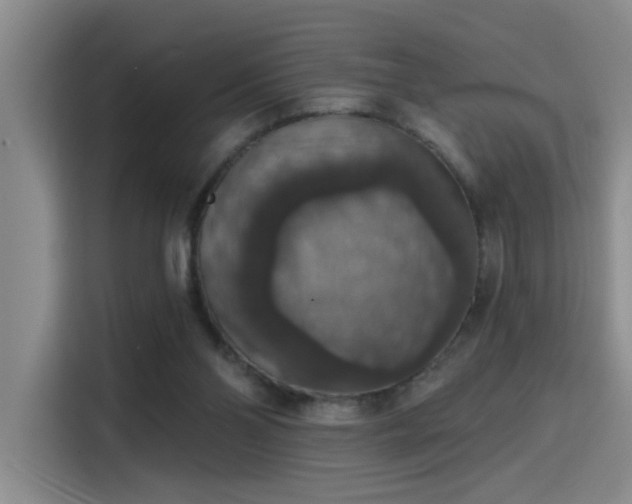 X0000115400110200911101520