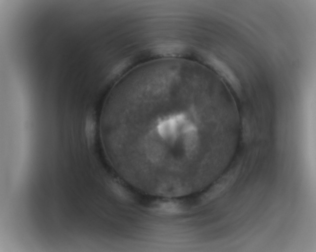 X0000115400113200911101520
