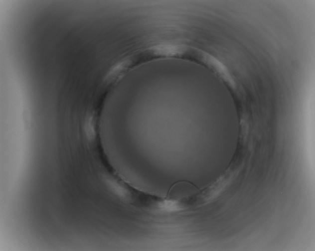X0000115400114200911101520