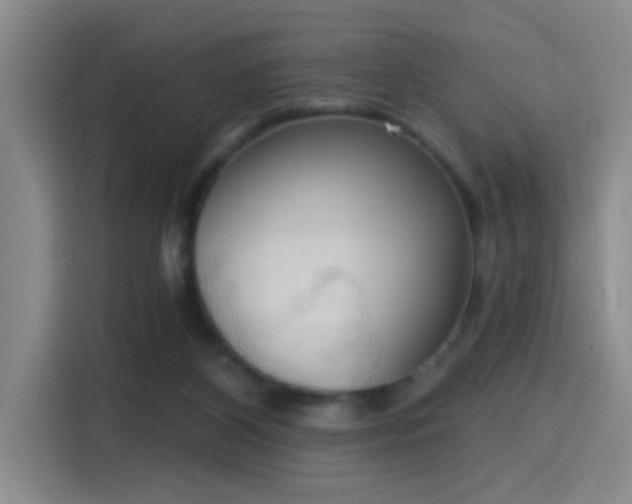 X0000115400116200911101520