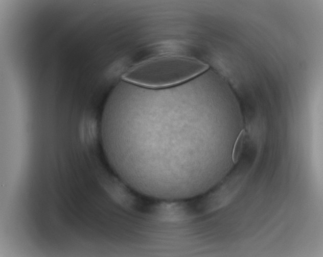 X0000115400117200911101520