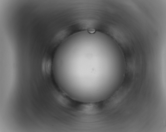 X0000115400118200911101520