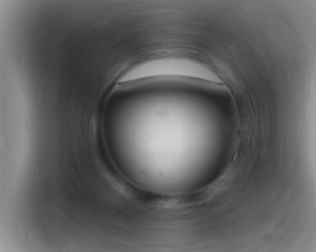 X0000115400120200911101520