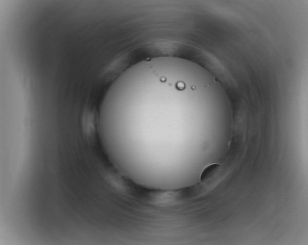 X0000115400122200911101520