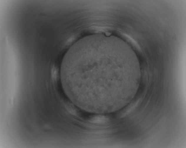 X0000115400123200911101520
