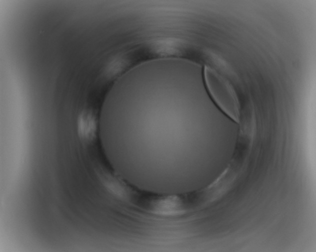 X0000115400124200911101520