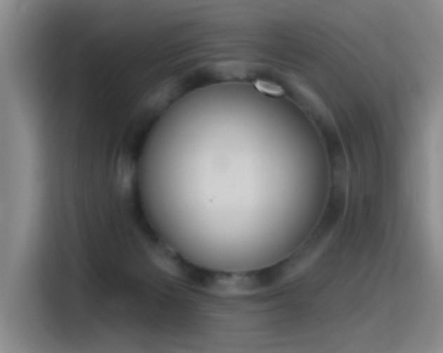 X0000115400125200911101520
