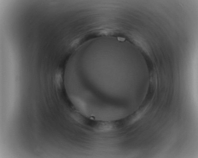 X0000115400127200911101520