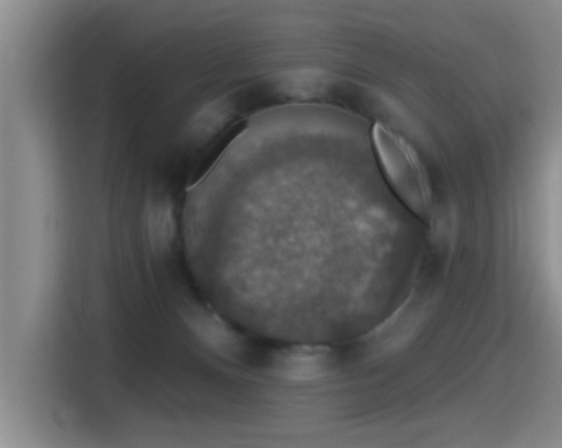 X0000115400128200911101520