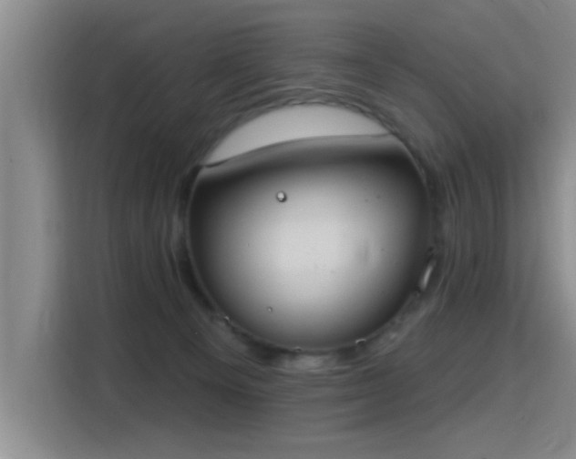X0000115400129200911101520