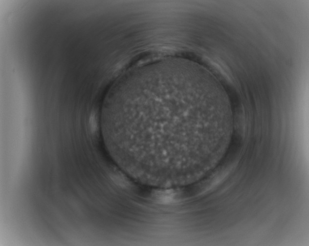 X0000115400131200911101520