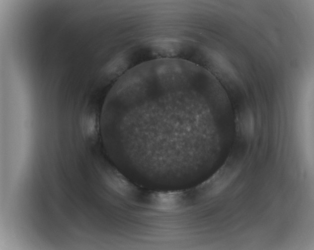 X0000115400134200911101520
