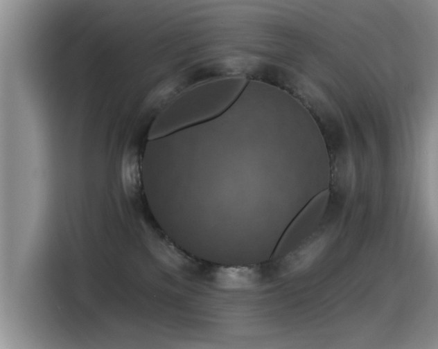 X0000115400137200911101520