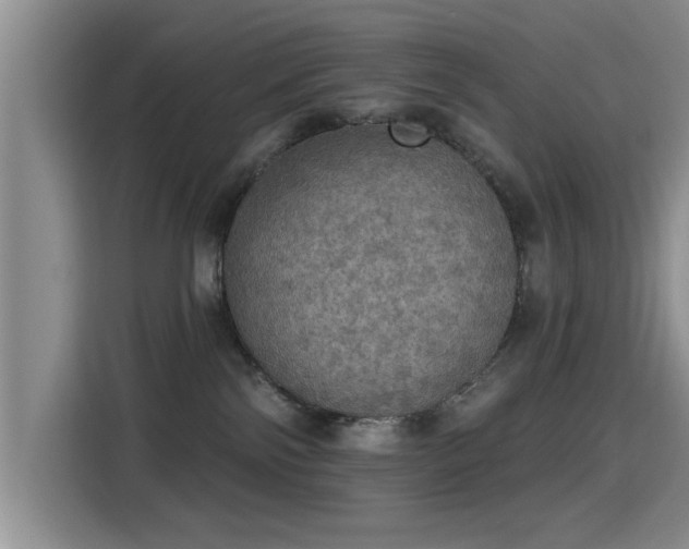 X0000115400138200911101520