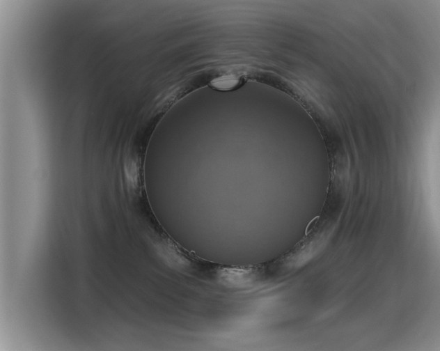 X0000115400139200911101520