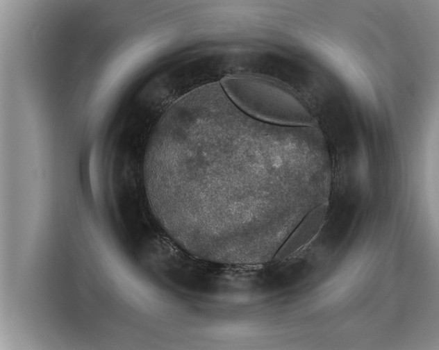 X0000115400140200911101520