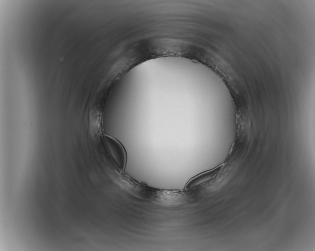 X0000115400141200911101520