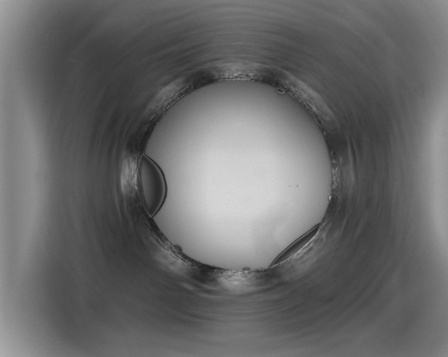 X0000115400142200911101520