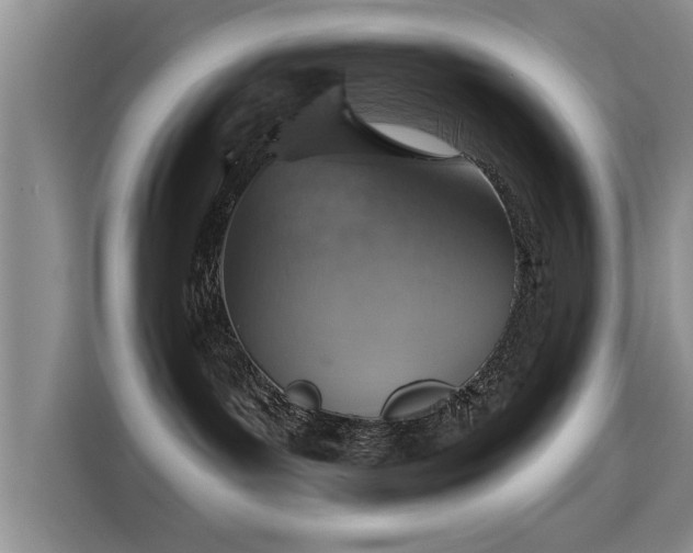 X0000115400143200911101520