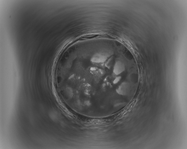 X0000115400145200911101519