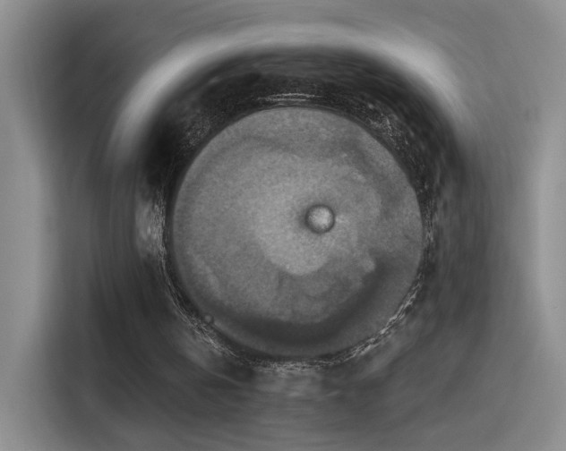 X0000115400146200911101519