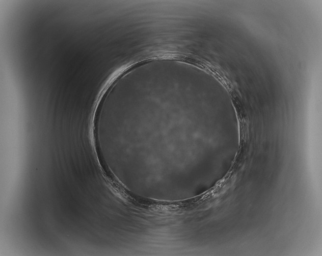 X0000115400147200911101519