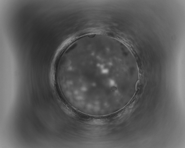 X0000115400149200911101519