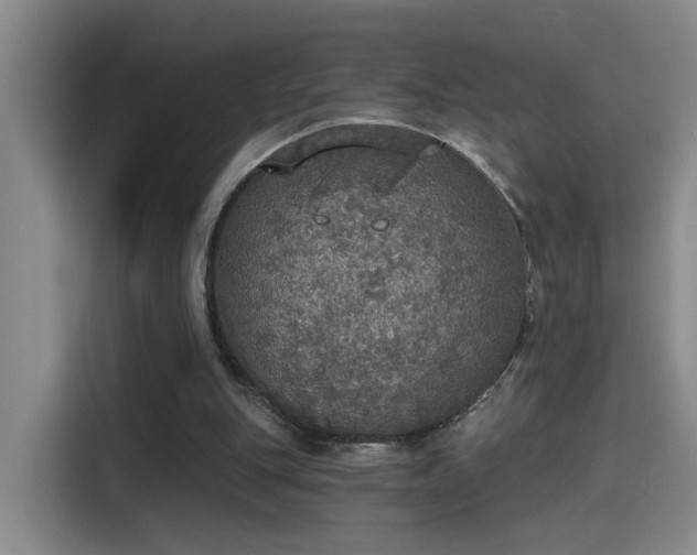 X0000115400151200911101519