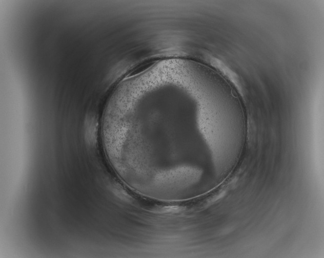 X0000115400153200911101519