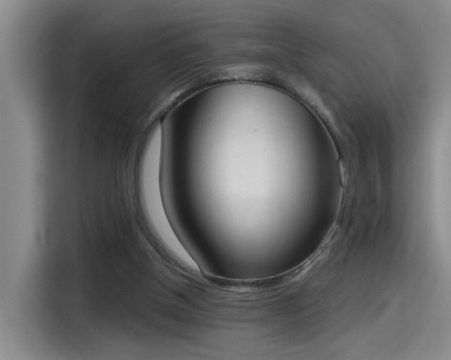 X0000115400154200911101519