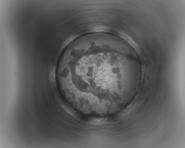 X0000115400155200911101519
